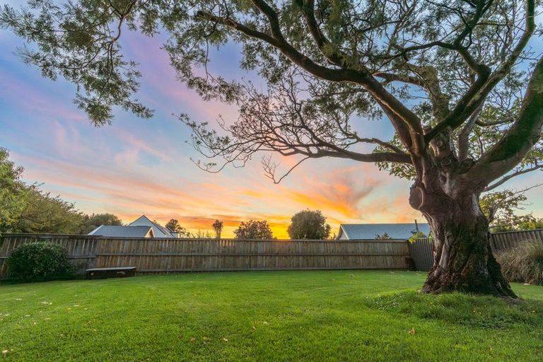 Photo of property in 4 Mallard Place, Mosgiel, 9024