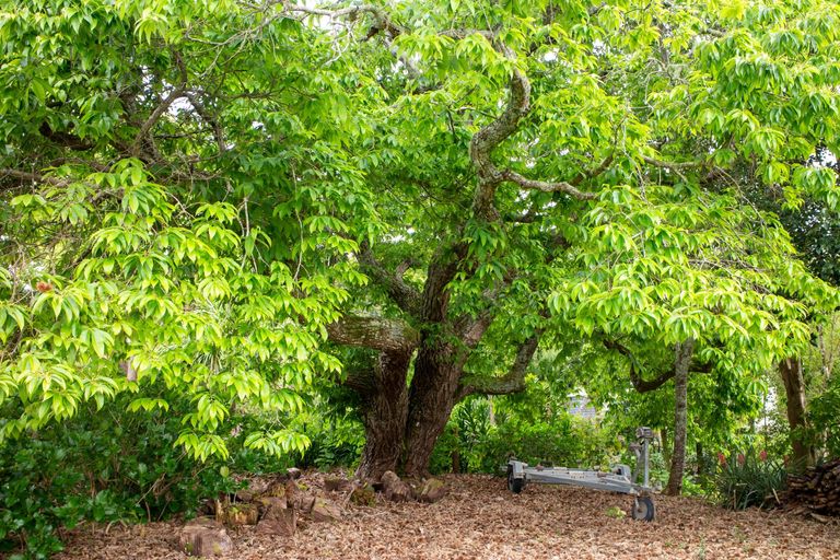 Photo of property in 24 Mission Road, Kerikeri, 0230