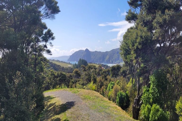 Photo of property in 38 Bowden Road, Taupo Bay, Mangonui, 0494