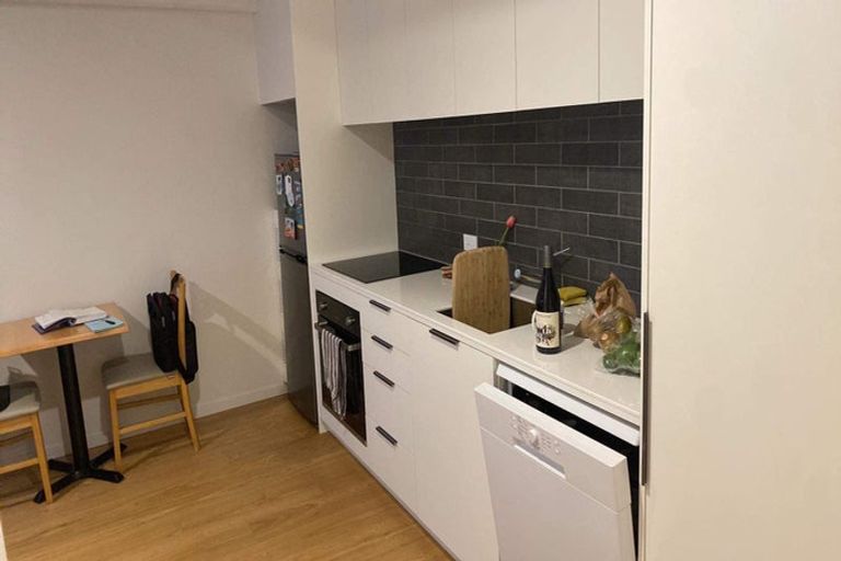 Photo of property in 3e/250 Richmond Road, Grey Lynn, Auckland, 1021