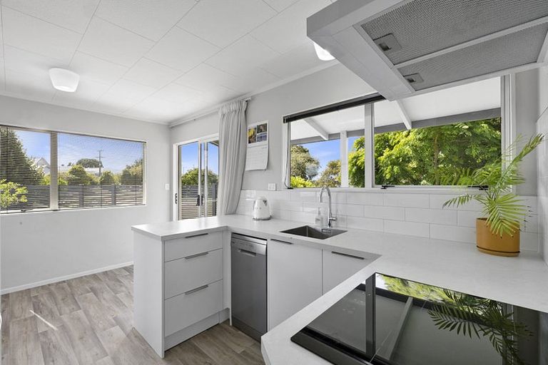 Photo of property in 1/1 Normanby Street, Fitzroy, New Plymouth, 4312