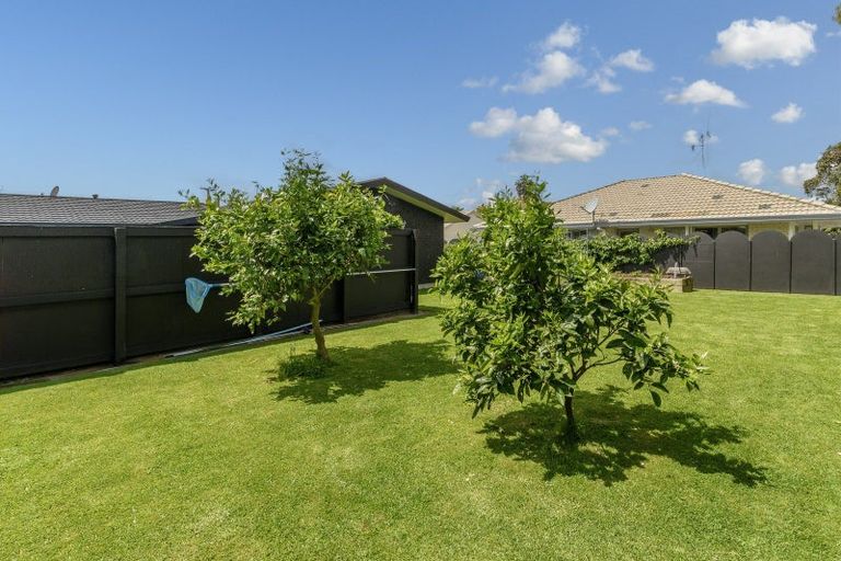 Photo of property in 108 Fourteenth Avenue, Tauranga South, Tauranga, 3112