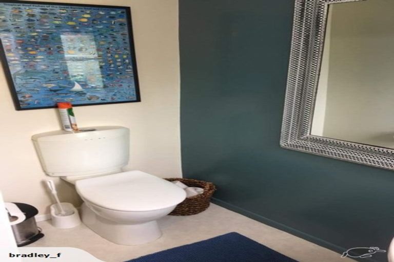 Photo of property in 20 Green Street, Newtown, Wellington, 6021