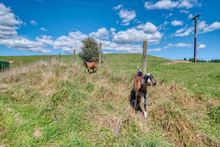 Photo of property in 427 Soldiers Road, Lower Kaimai, Tauranga, 3171