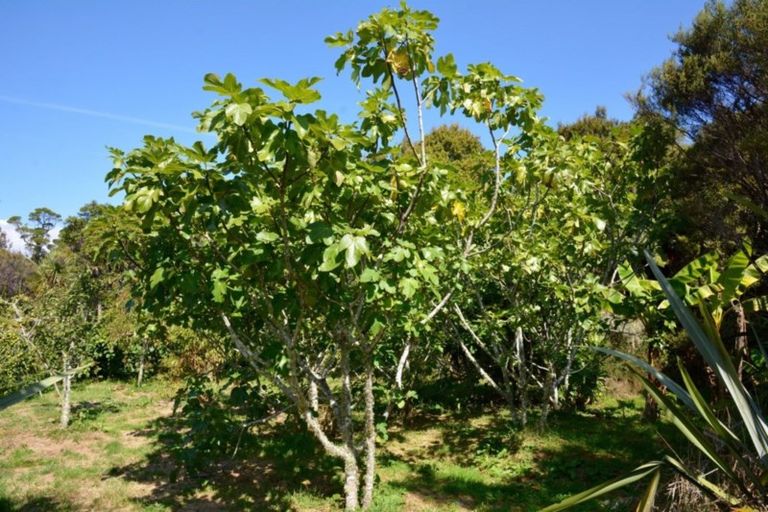 Photo of property in 107 South Terrace Road, Karamea, 7893