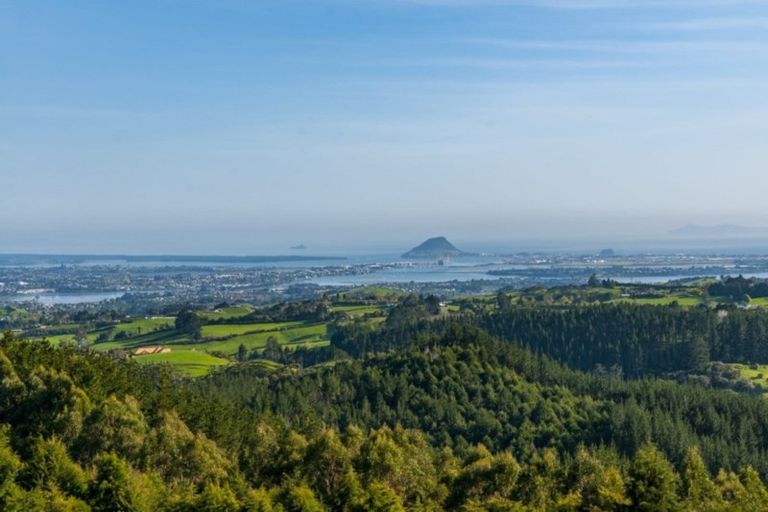 Photo of property in 1189b Upper Ohauiti Road, Ohauiti, Tauranga, 3173