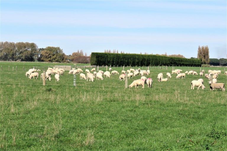 Photo of property in 39 Gap Road West, Winton, 9781