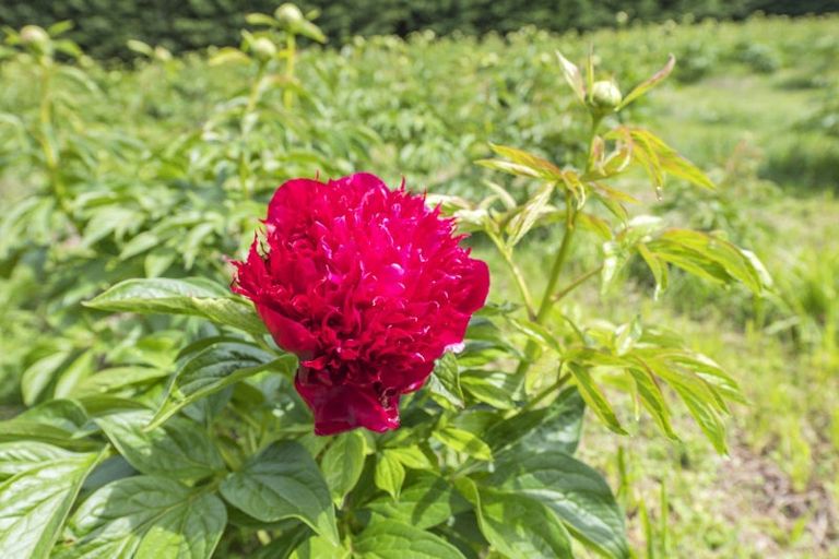 Photo of property in 2924 North Rakaia Road, Bankside, Rakaia, 7783