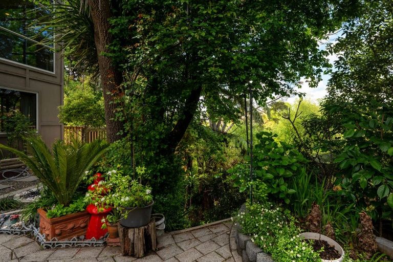 Photo of property in 380 Sunset Road, Sunnybrook, Rotorua, 3015