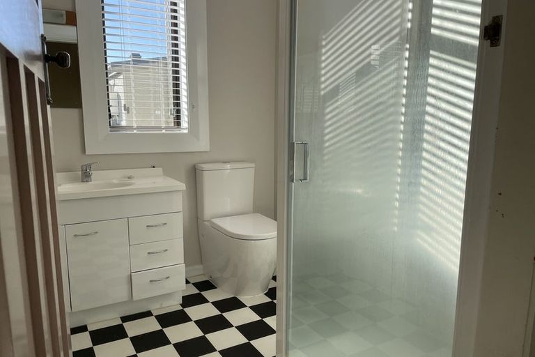 Photo of property in 115 Glenpark Avenue, Maryhill, Dunedin, 9011