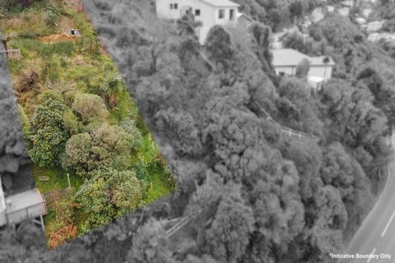 Photo of property in 156 Raroa Road, Aro Valley, Wellington, 6012