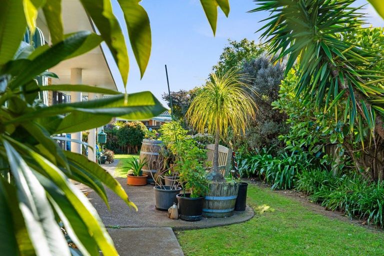 Photo of property in 29 Luculia Drive, Mount Maunganui, 3116