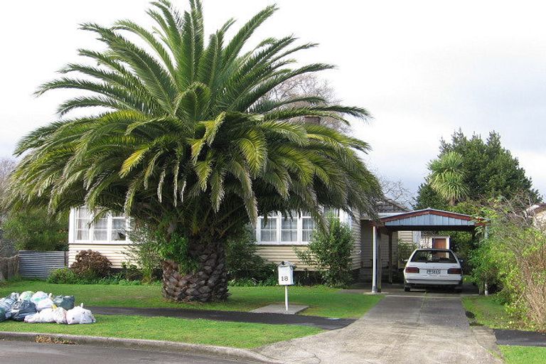 Photo of property in 18 Anderson Street, Hokowhitu, Palmerston North, 4410