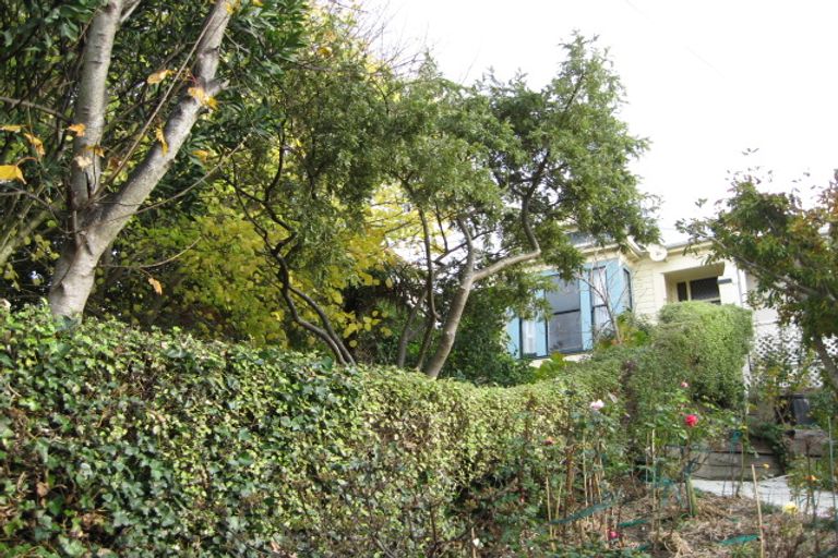 Photo of property in 69 Sligo Terrace, Roslyn, Dunedin, 9010