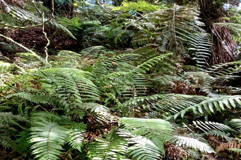 Photo of property in 132 Swetman Road, Waikino, Waihi, 3682