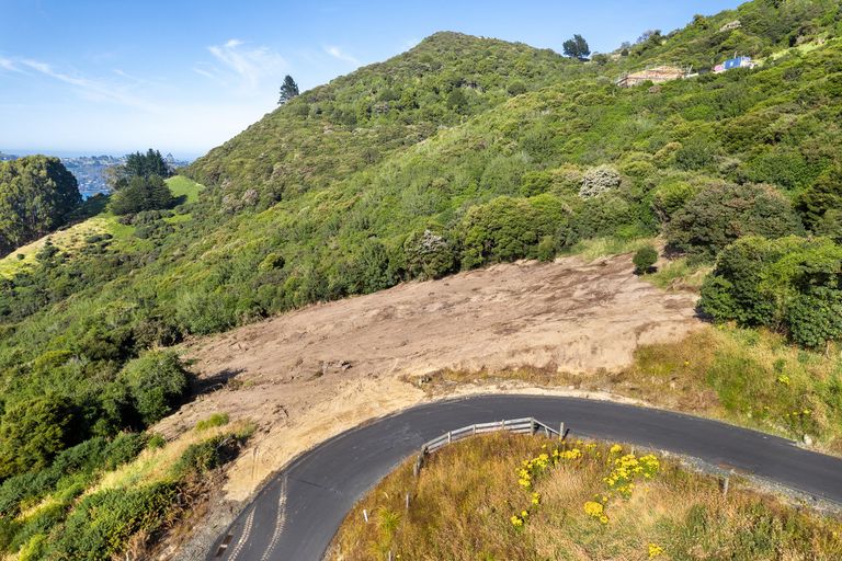 Photo of property in 65 Kakapo Street, Saint Leonards, Dunedin, 9022