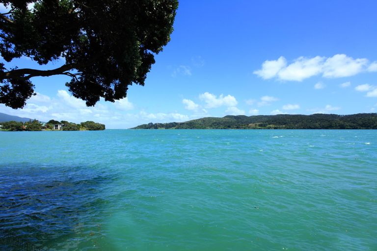 Photo of property in 68 Wallis Street, Raglan, 3225