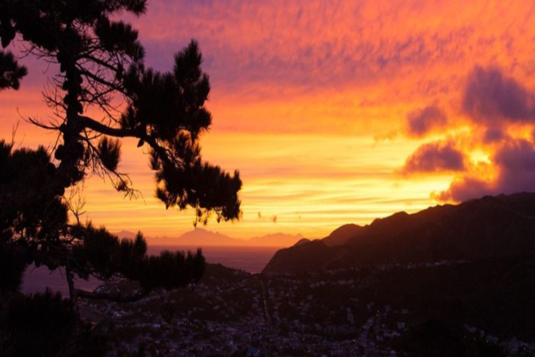 Photo of property in 62a Buckley Road, Southgate, Wellington, 6023