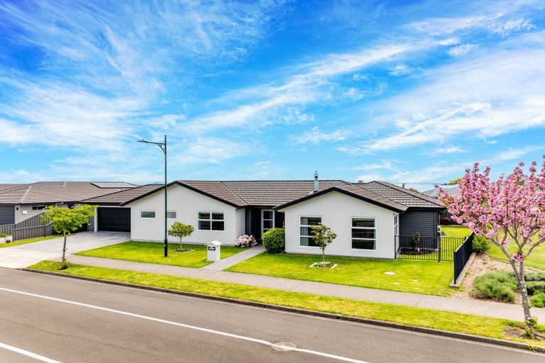 Photo of property in 21 Meissner Road, Havelock North, 4130