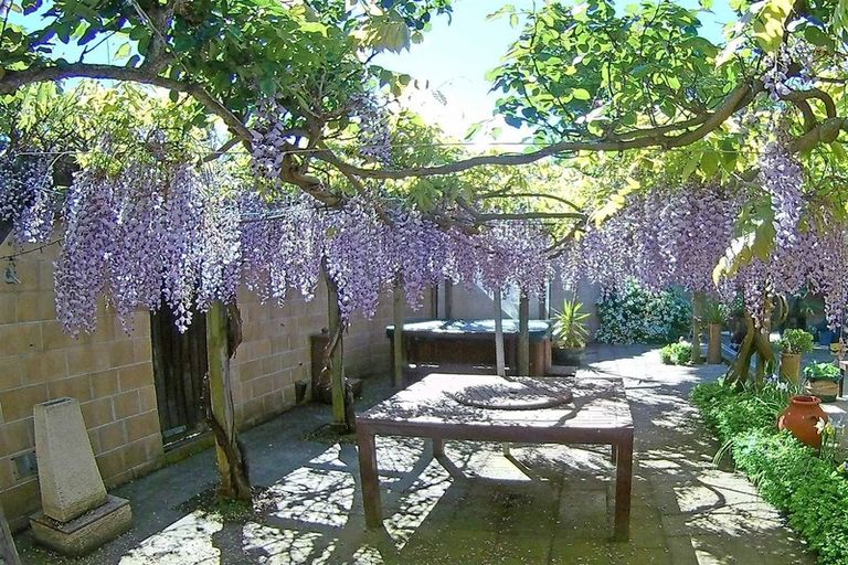 Photo of property in 119 Waimairi Road, Ilam, Christchurch, 8041