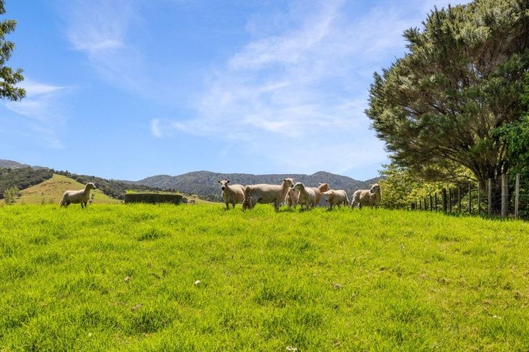 Photo of property in 402a King Road, Mangawhai, Kaiwaka, 0573