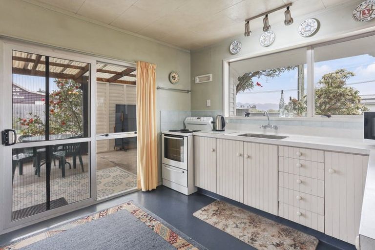 Photo of property in 15 Montrose Street, Waiau, 7332