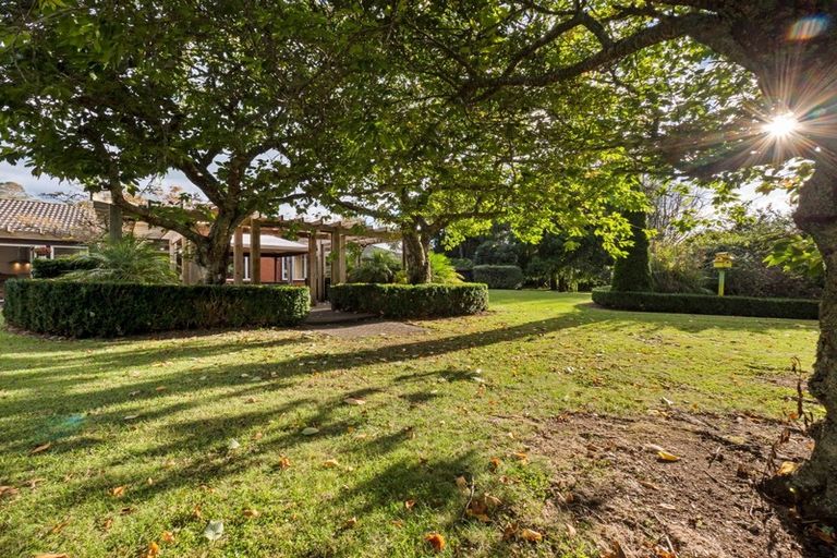 Photo of property in 21 Miles Lane, Tauriko, Tauranga, 3110