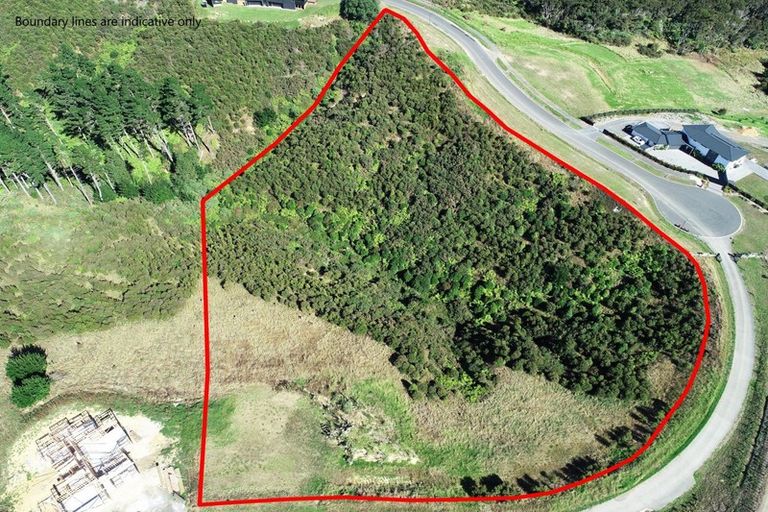 Photo of property in 161 Solway Road, Whitford, 2576