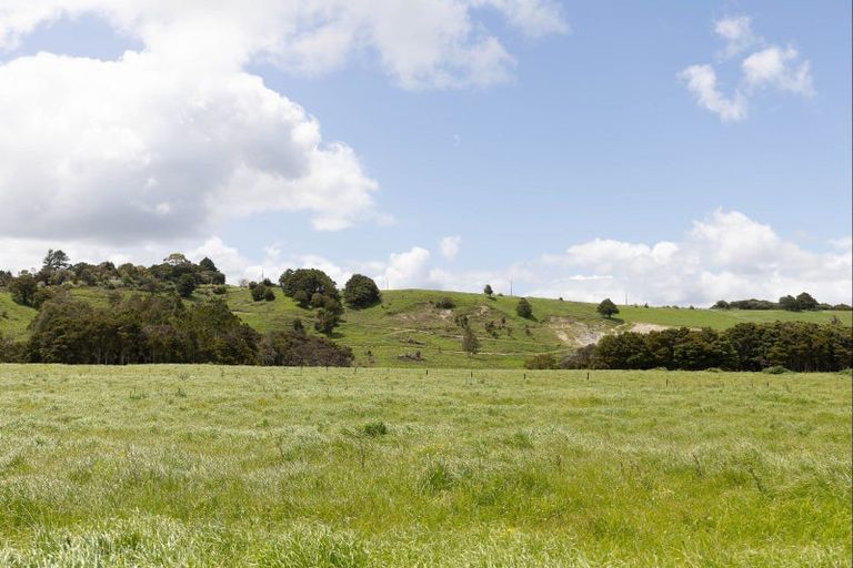 Photo of property in 139 Poyner Road, Ararua, Matakohe, 0594