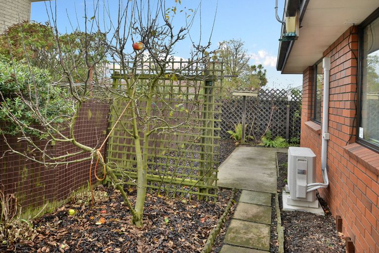 Photo of property in 17b Grove Street, Saint Kilda, Dunedin, 9012