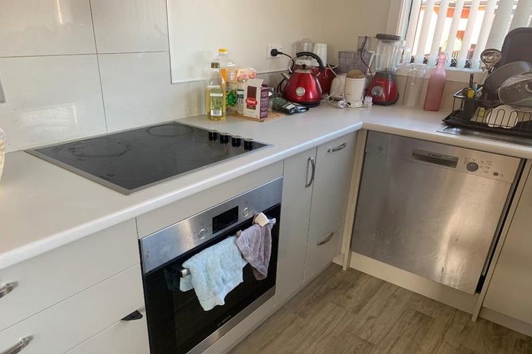 Photo of property in 65 Knighton Road, Hillcrest, Hamilton, 3216