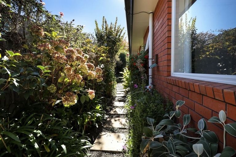 Photo of property in 19a Monro Street, Blenheim, 7201