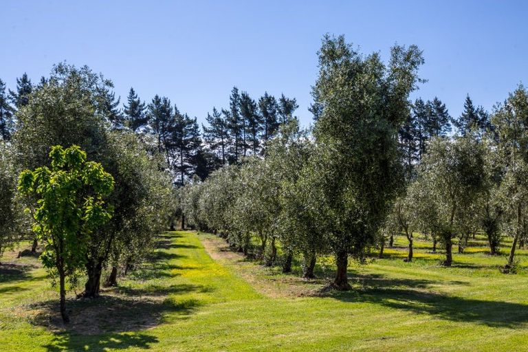 Photo of property in 138 Dakins Road, East Taratahi, Carterton, 5887