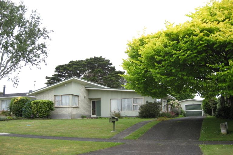 Photo of property in 8 Bledisloe Court, Pukekohe, 2120