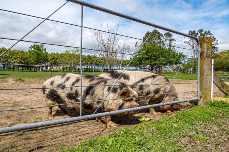Photo of property in 445 West Bank Road, Edgecumbe, Whakatane, 3193