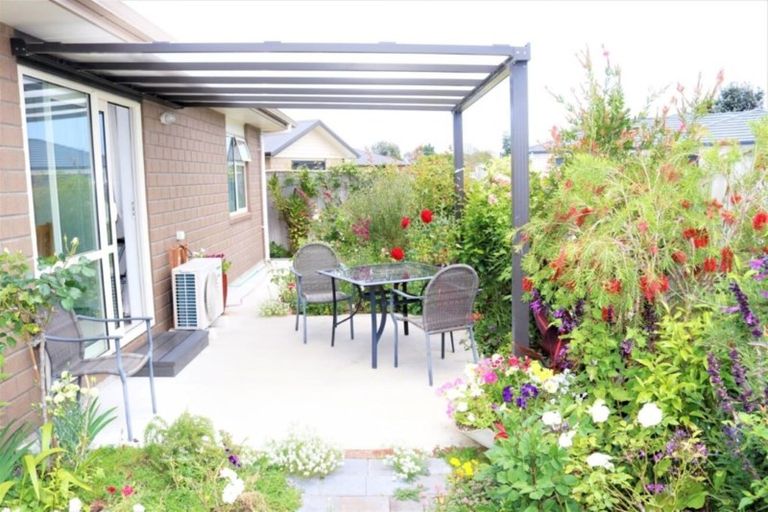 Photo of property in 23 Poynter Place, Gonville, Whanganui, 4501