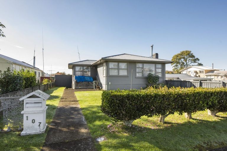 Photo of property in 107 Papanui Street, Tokoroa, 3420