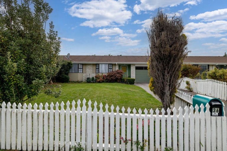 Photo of property in 36 Criterion Street, Bulls, 4818