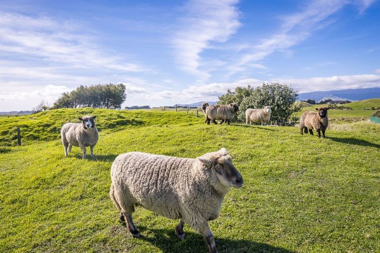 Photo of property in 21 Sandown Road, Te Horo Beach, Otaki, 5581