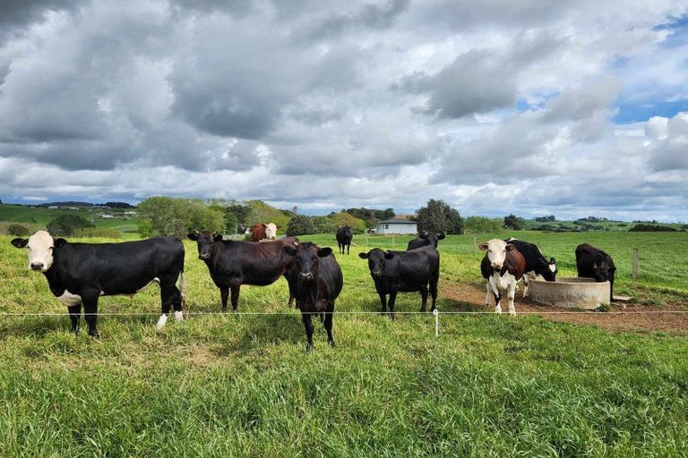 Photo of property in 697 Maungatawhiri Road, Raglan, 3295