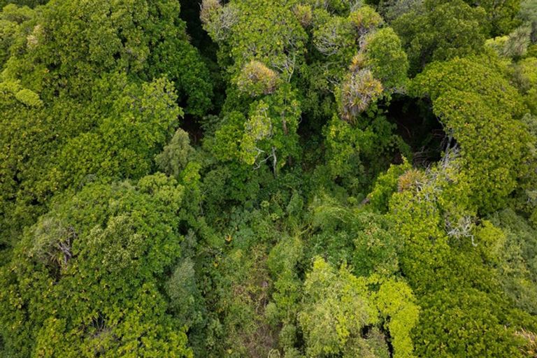 Photo of property in 69 Rimu Street, Waikanae, 5036