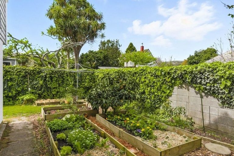 Photo of property in 335 Te Moana Road, Waikanae, 5036