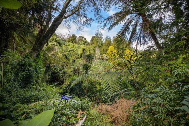 Photo of property in 186d Huatoki Street, Upper Vogeltown, New Plymouth, 4310