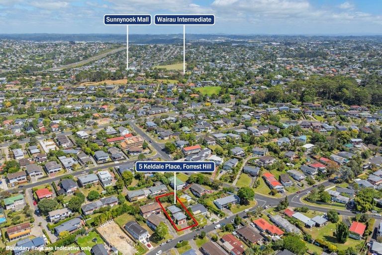Photo of property in 1/5 Keldale Place, Forrest Hill, Auckland, 0620