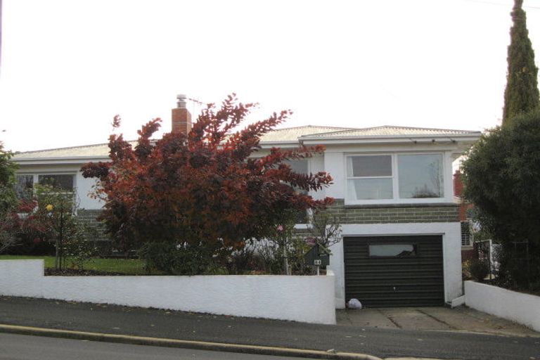 Photo of property in 44 Ross Street, Roslyn, Dunedin, 9010