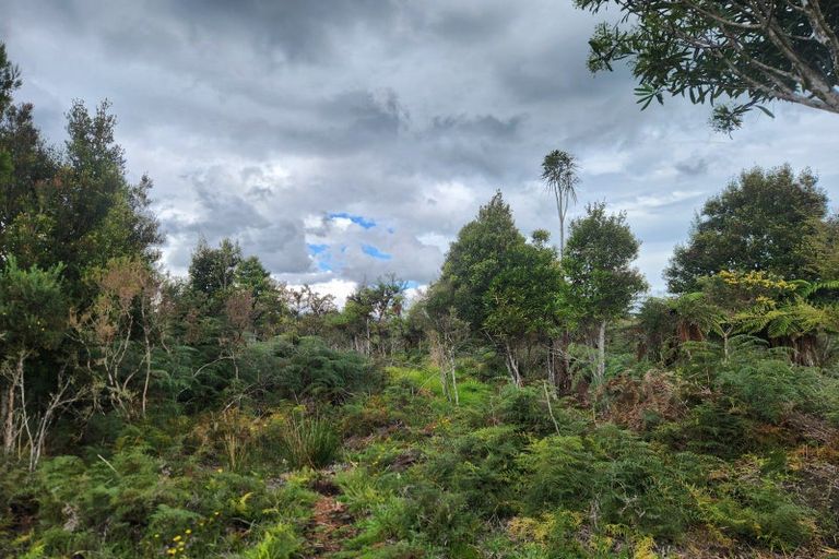 Photo of property in 240 Maori Creek Road, Marsden, Greymouth, 7872