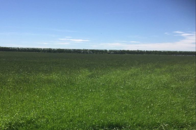 Photo of property in 80 Mount Hutt Station Road, Methven, Rakaia, 7782