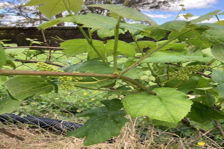 Photo of property in 3353 Mangakahia Road, Pakotai, Whangarei, 0172