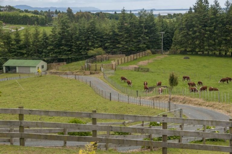 Photo of property in 649f Esdaile Road, Whakamarama, Tauranga, 3180