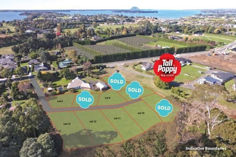 Photo of property in 47 Kayelene Place, Omokoroa, 3114